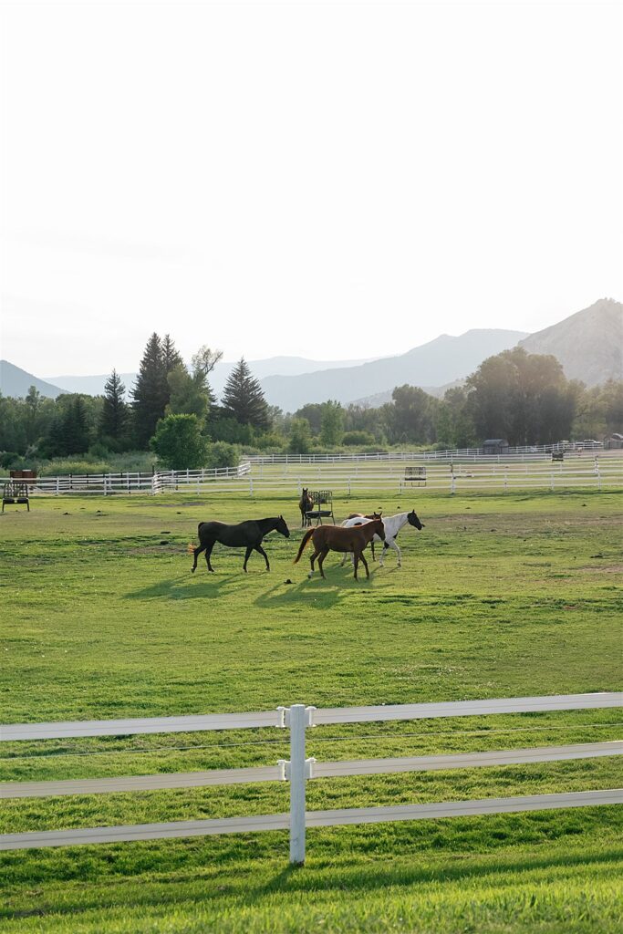 Luxury Wedding Planner in Colorado serving Colorado, Utah, Wyoming, the Rocky Mountains, Park City, Jackson Hole, Crested Butte